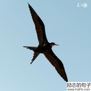 经典语录：长得漂亮是优势，活得漂亮是本事